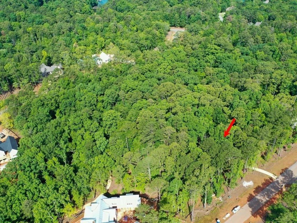 High Bluff Ln, Greensboro, GA 30642