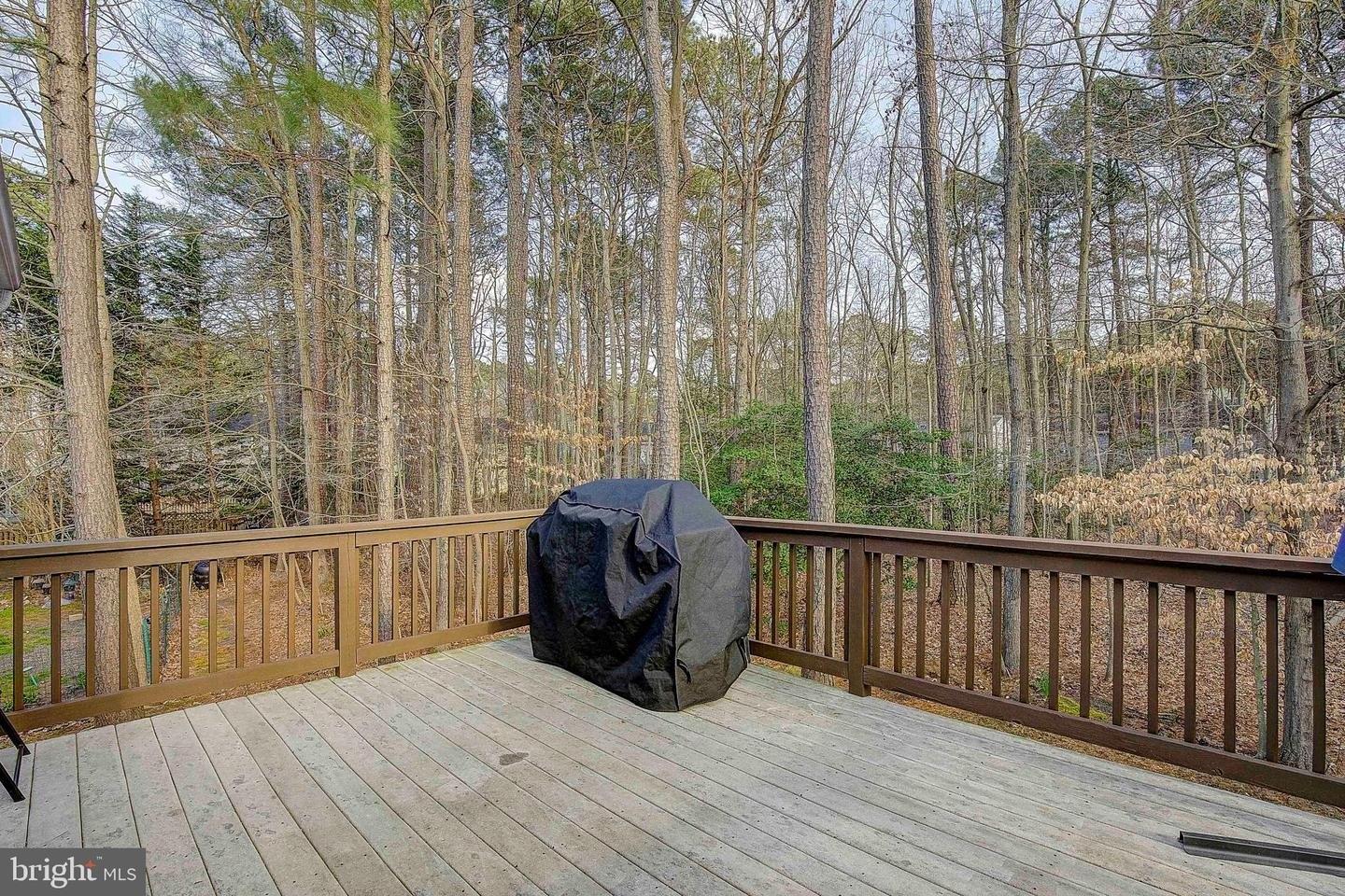 Timber Ln, Grasonville, MD 21638