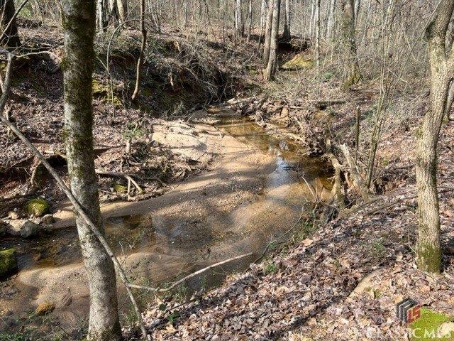 Wesley Way, Commerce, GA 30529