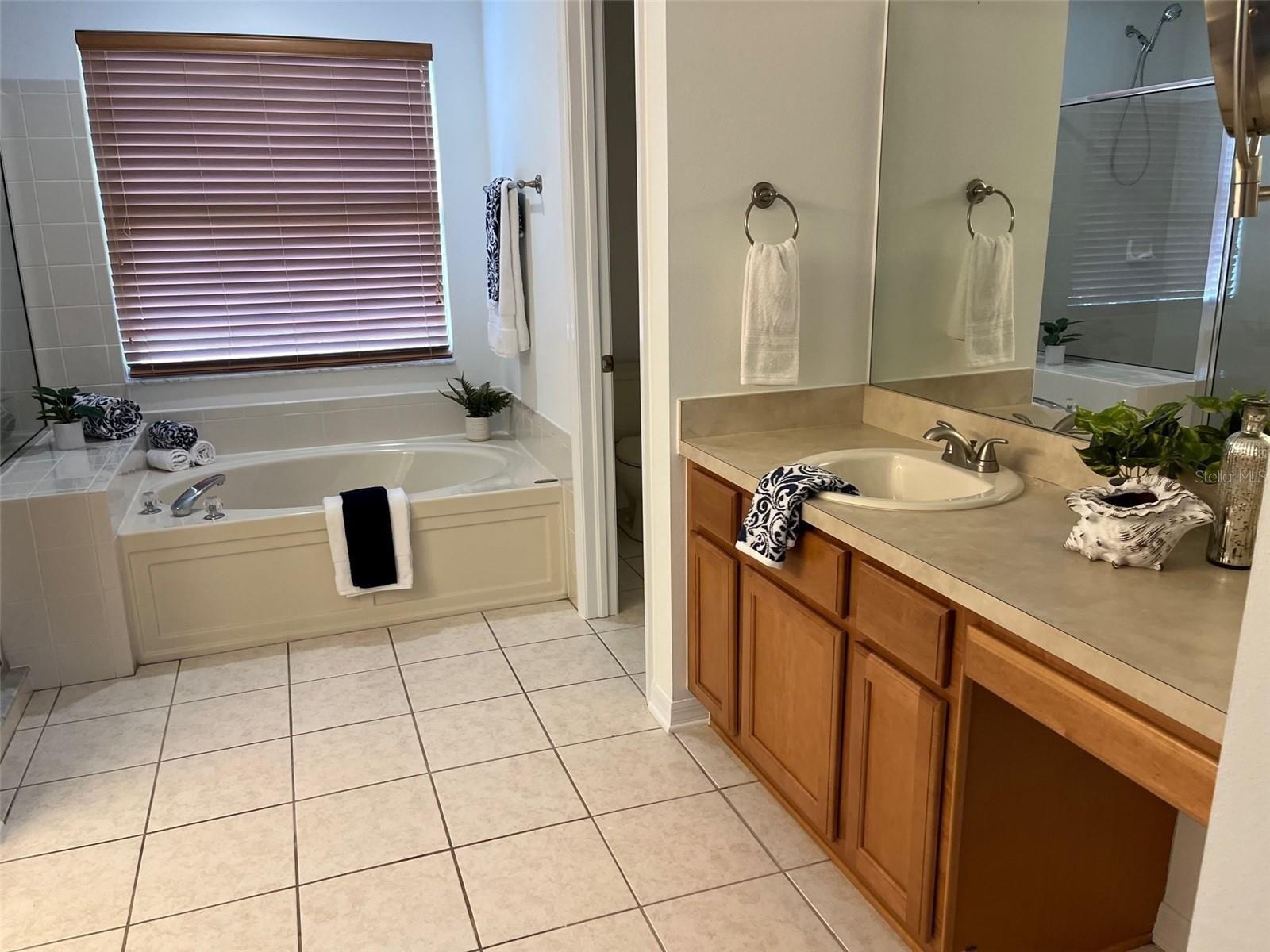 Tarkington Dr, Land O Lakes, FL 34639