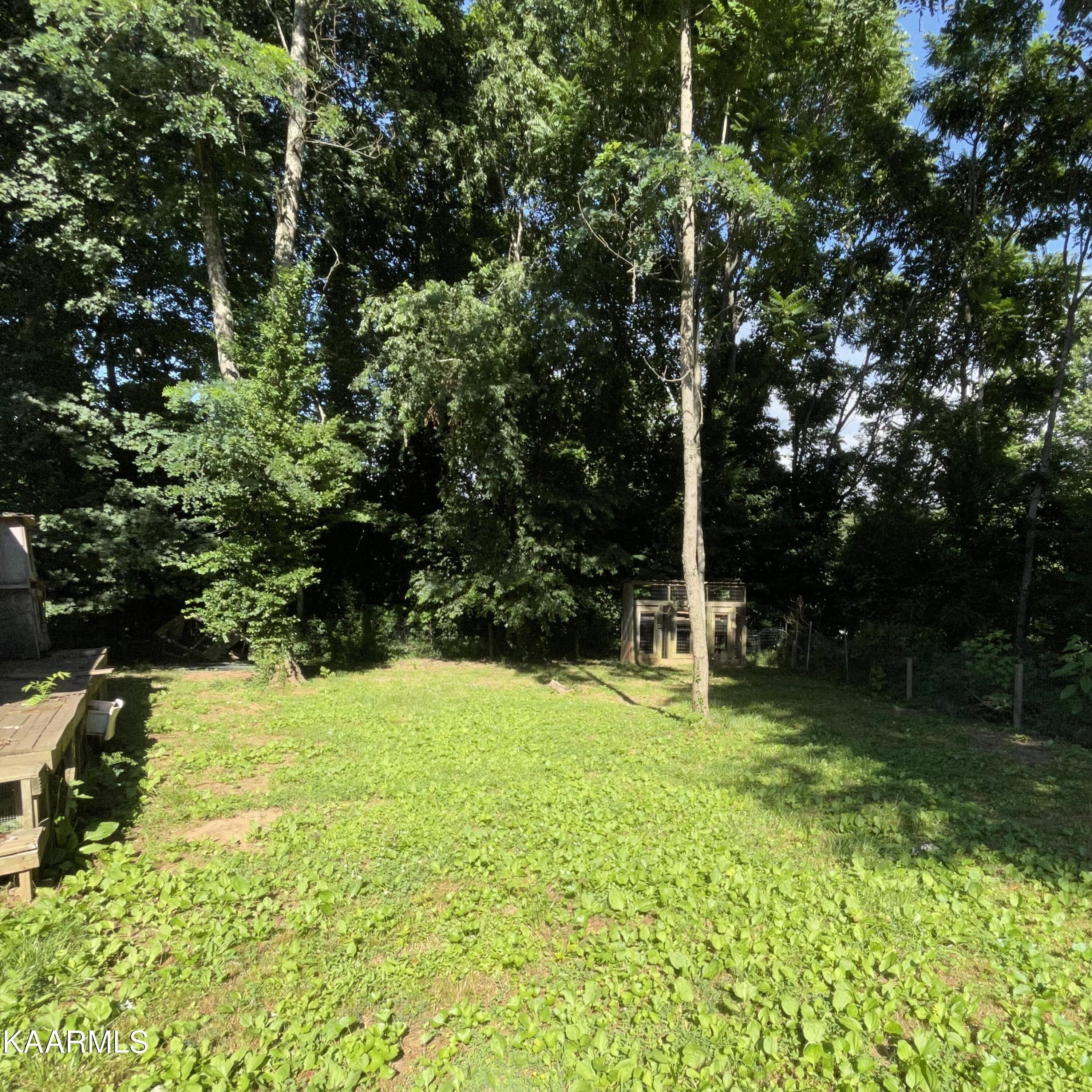 Cole Rd, Copperhill, TN 37317