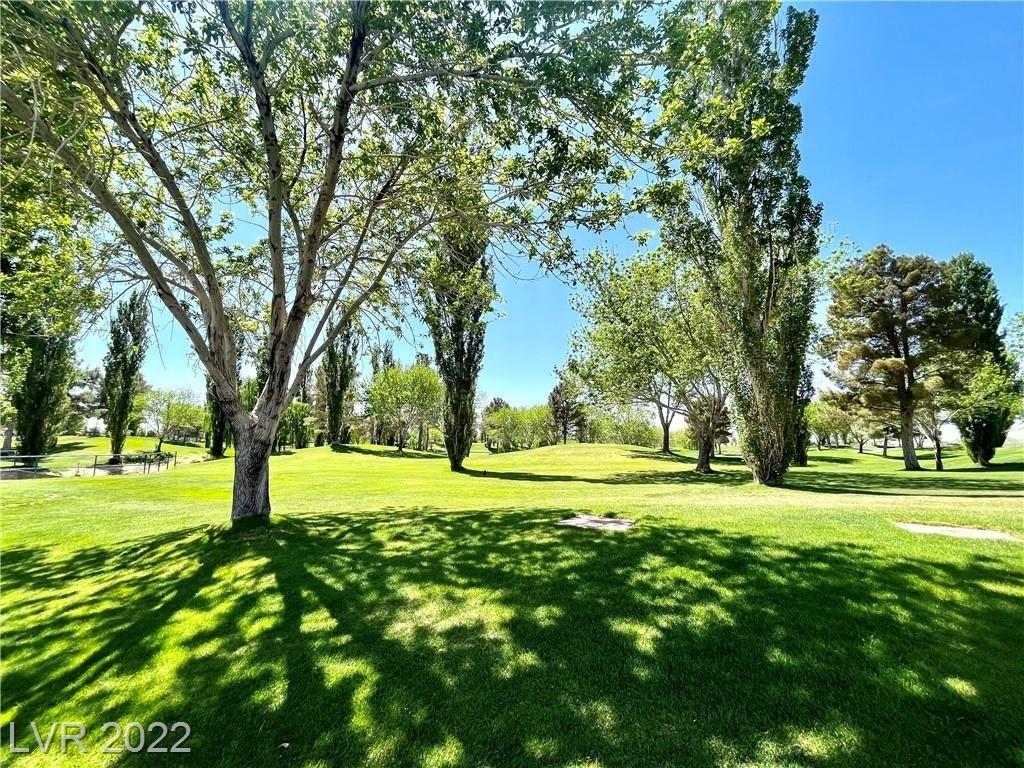 E Volterra Dr, Pahrump, NV 89061