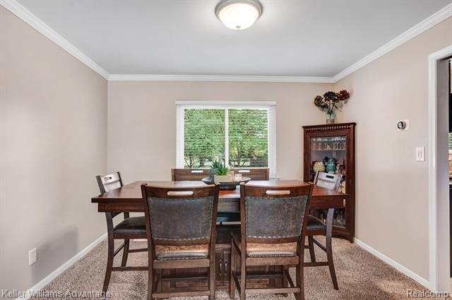 Curtis Rd, Livonia, MI 48152