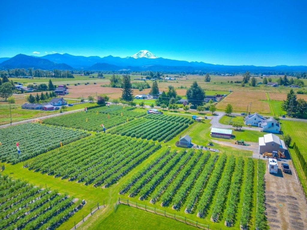 Se 448th St, Enumclaw, WA 98022