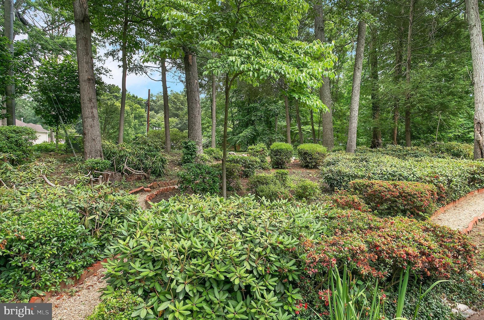 Ridgeway Dr, Springfield, VA 22150