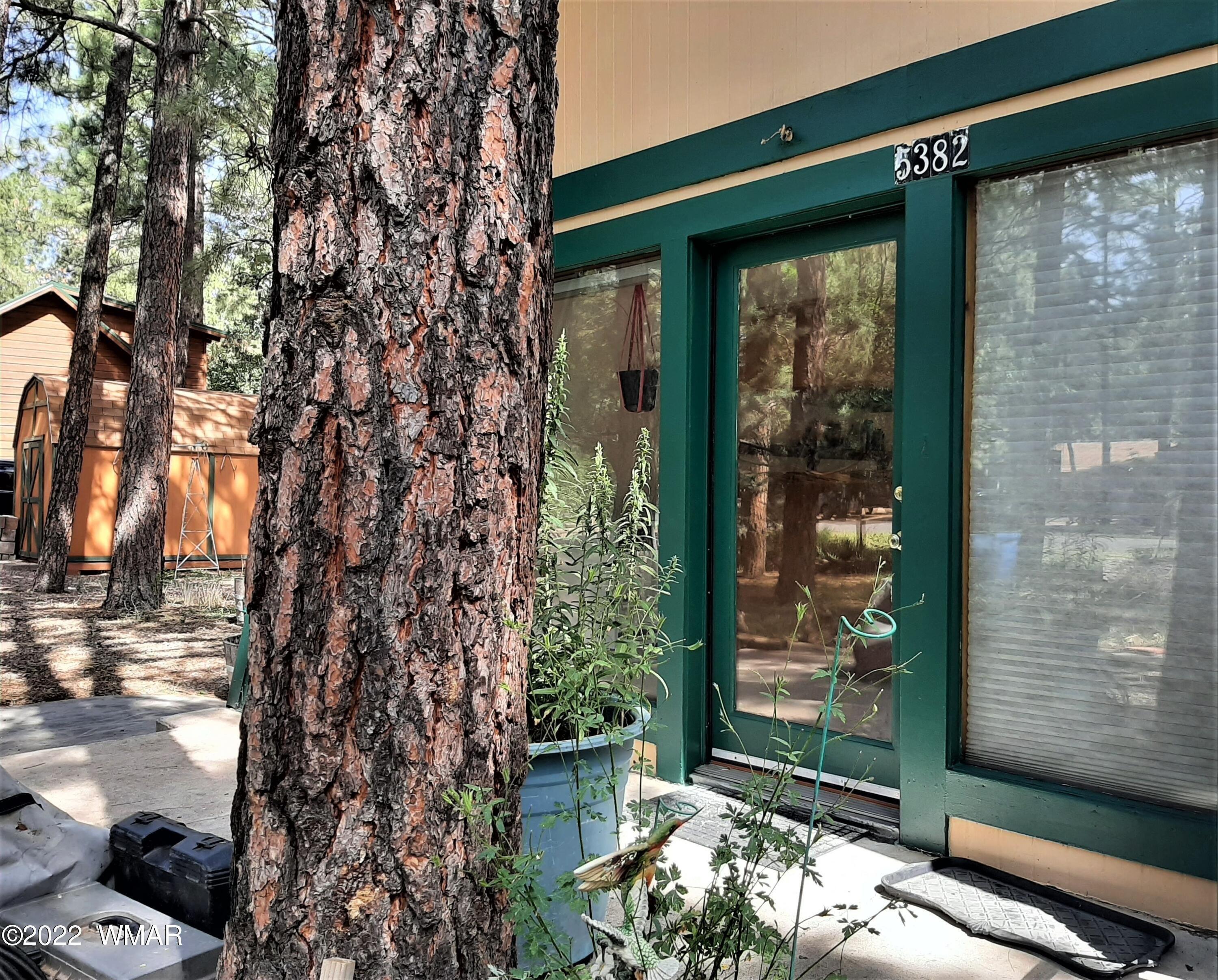 Pine Dawn Rd, Lakeside, AZ 85929