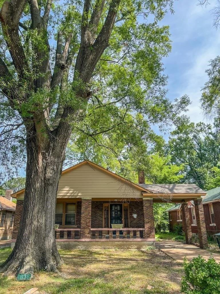 Waverly Ave, Memphis, TN 38114