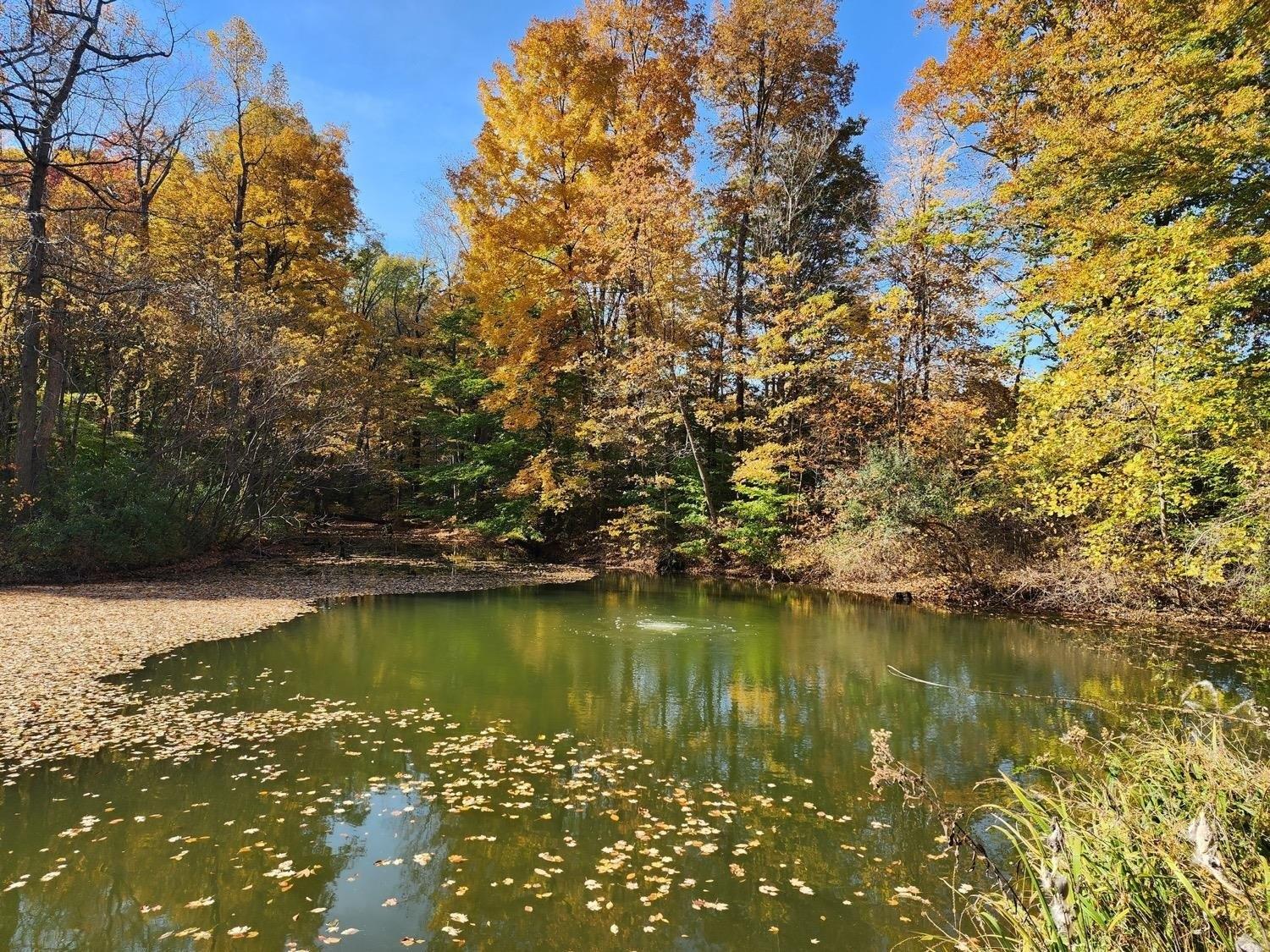 S Ott Rd, Connersville, IN 47331