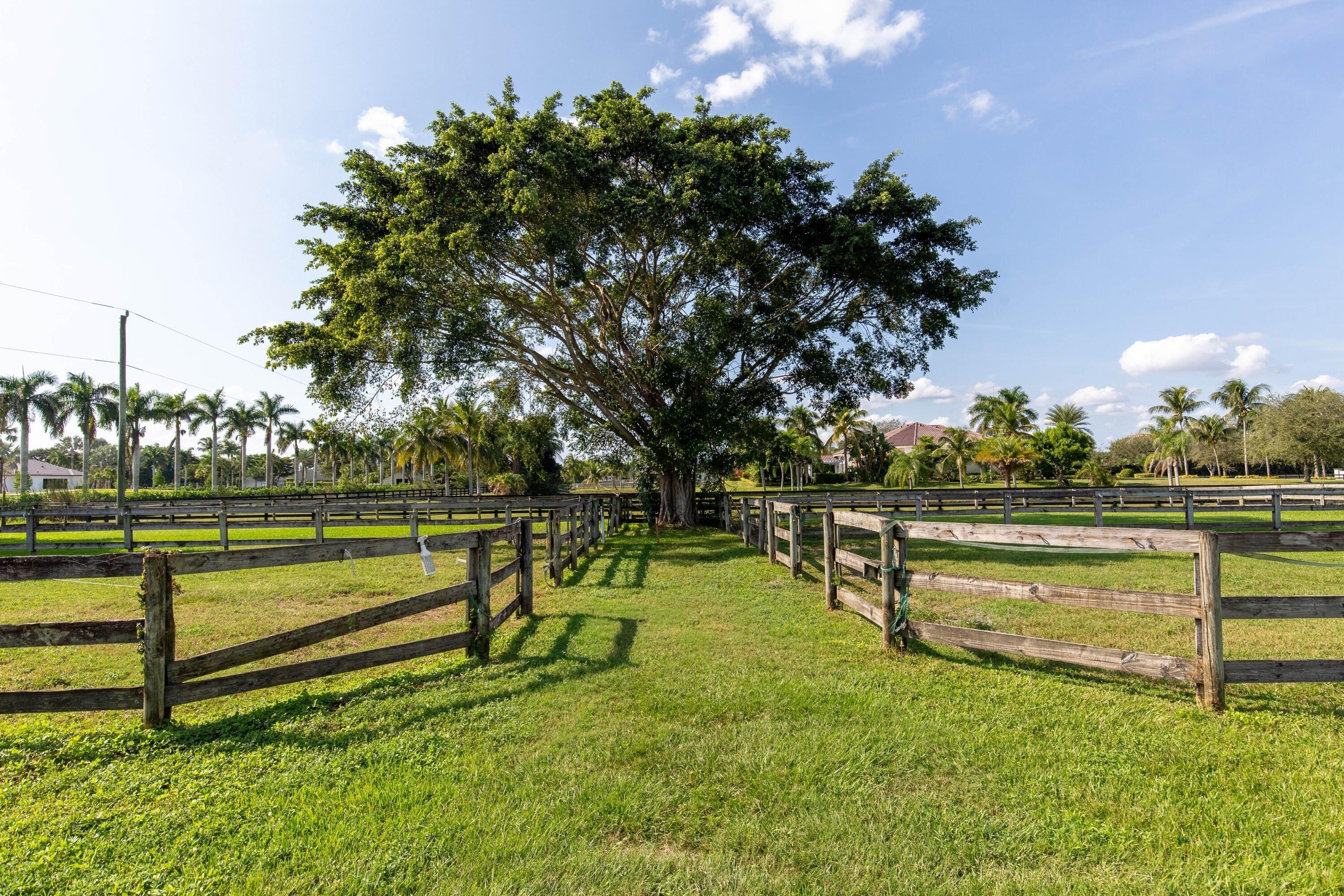 Estancia Ln, Wellington, FL 33414