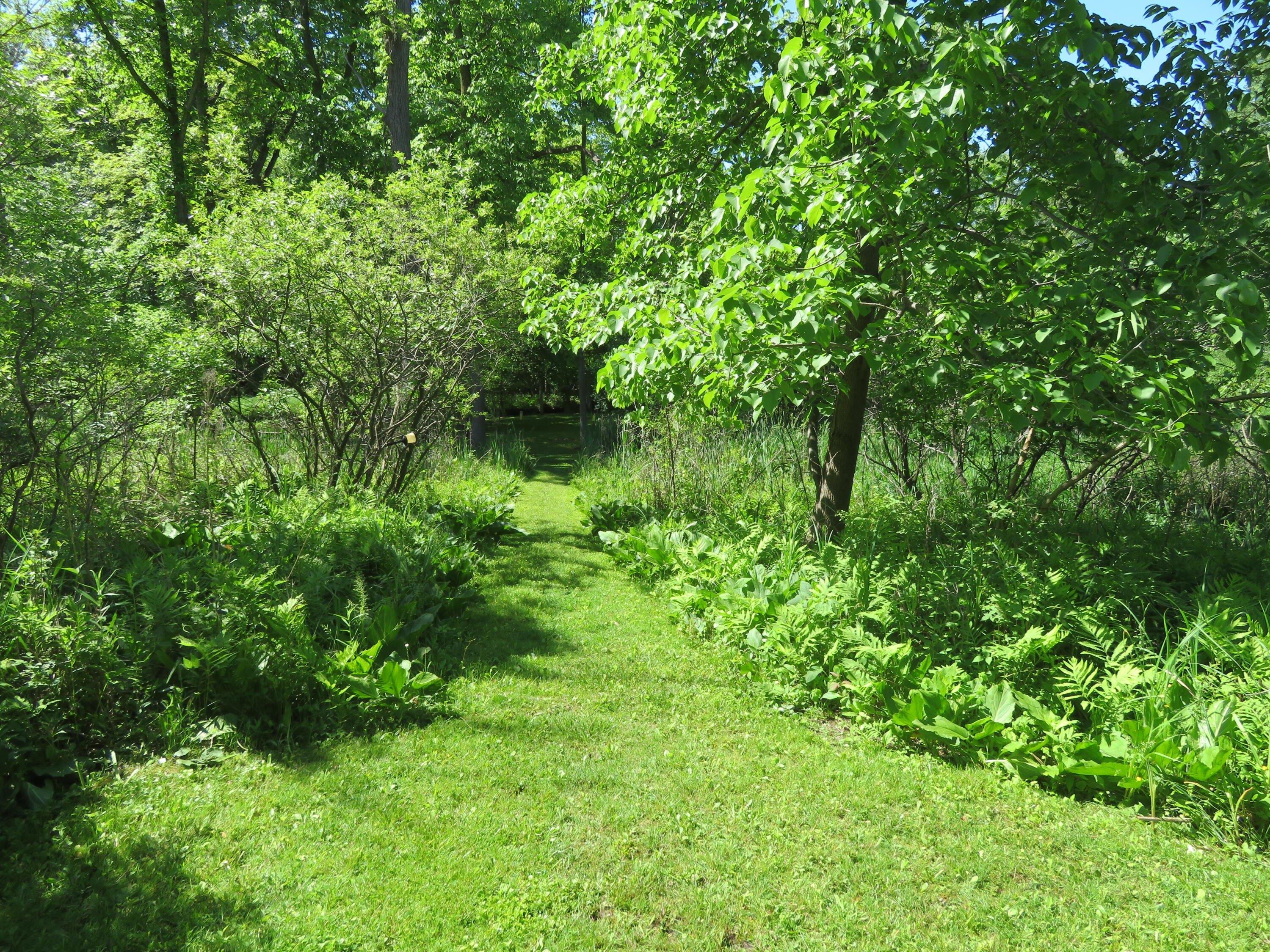 S Grange Rd, Eagle, MI 48822