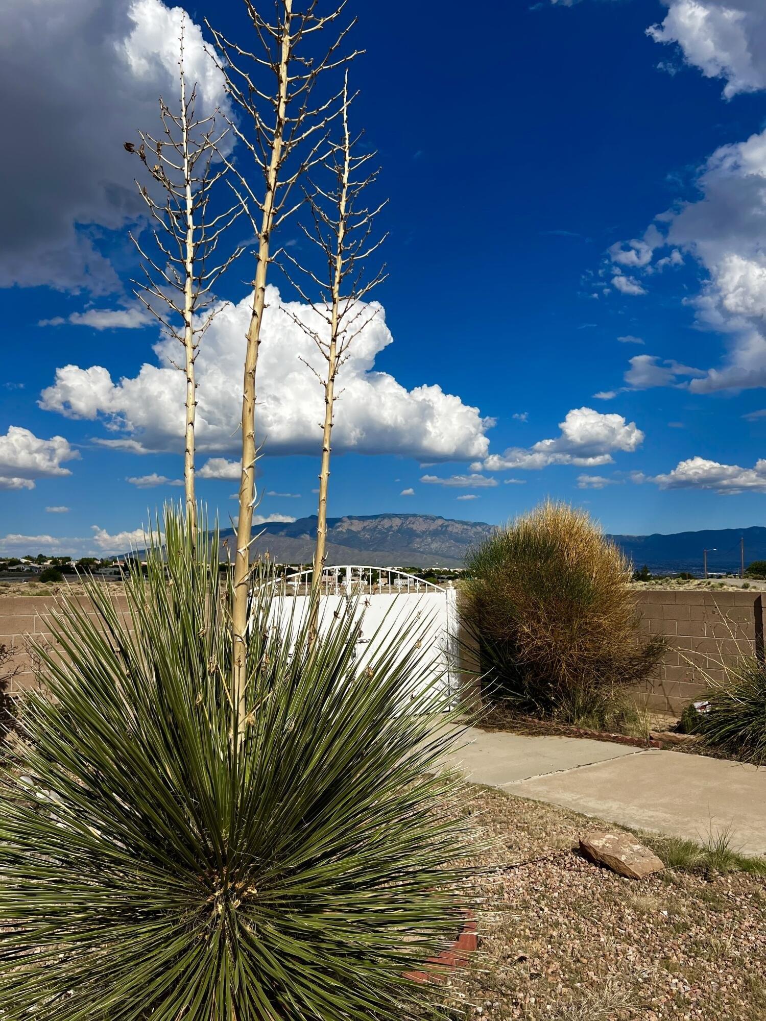 Star Ct Nw, Albuquerque, NM 87114