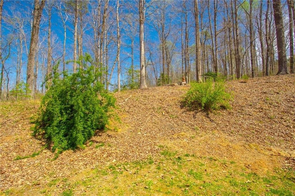 Gold Ridge Rd, Dahlonega, GA 30533