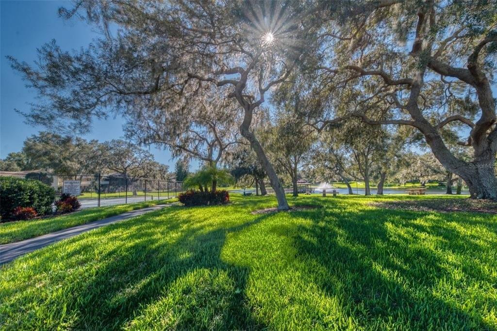 Pinnacle Cir S, Palm Harbor, FL 34684
