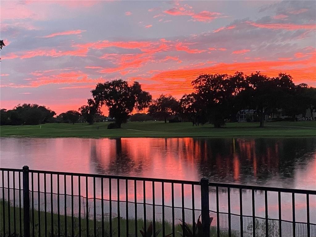 Toscano Dr, Trinity, FL 34655