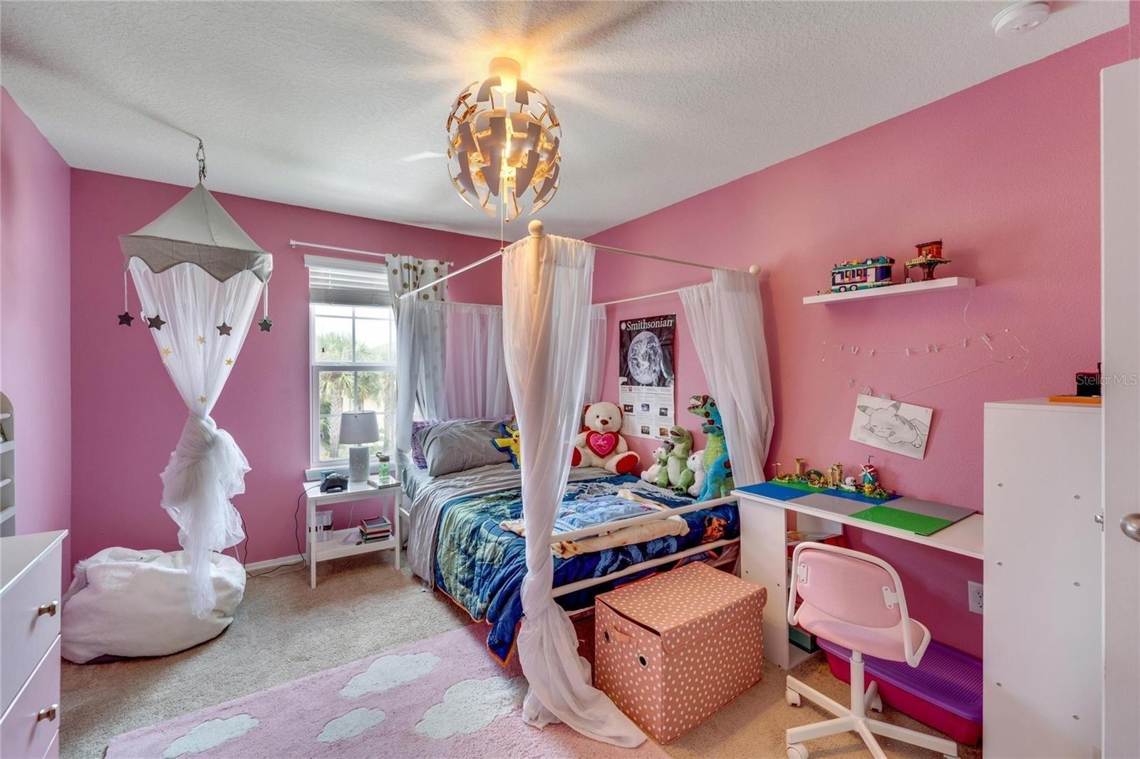 Turnstone Haven Pl, Tampa, FL 33619