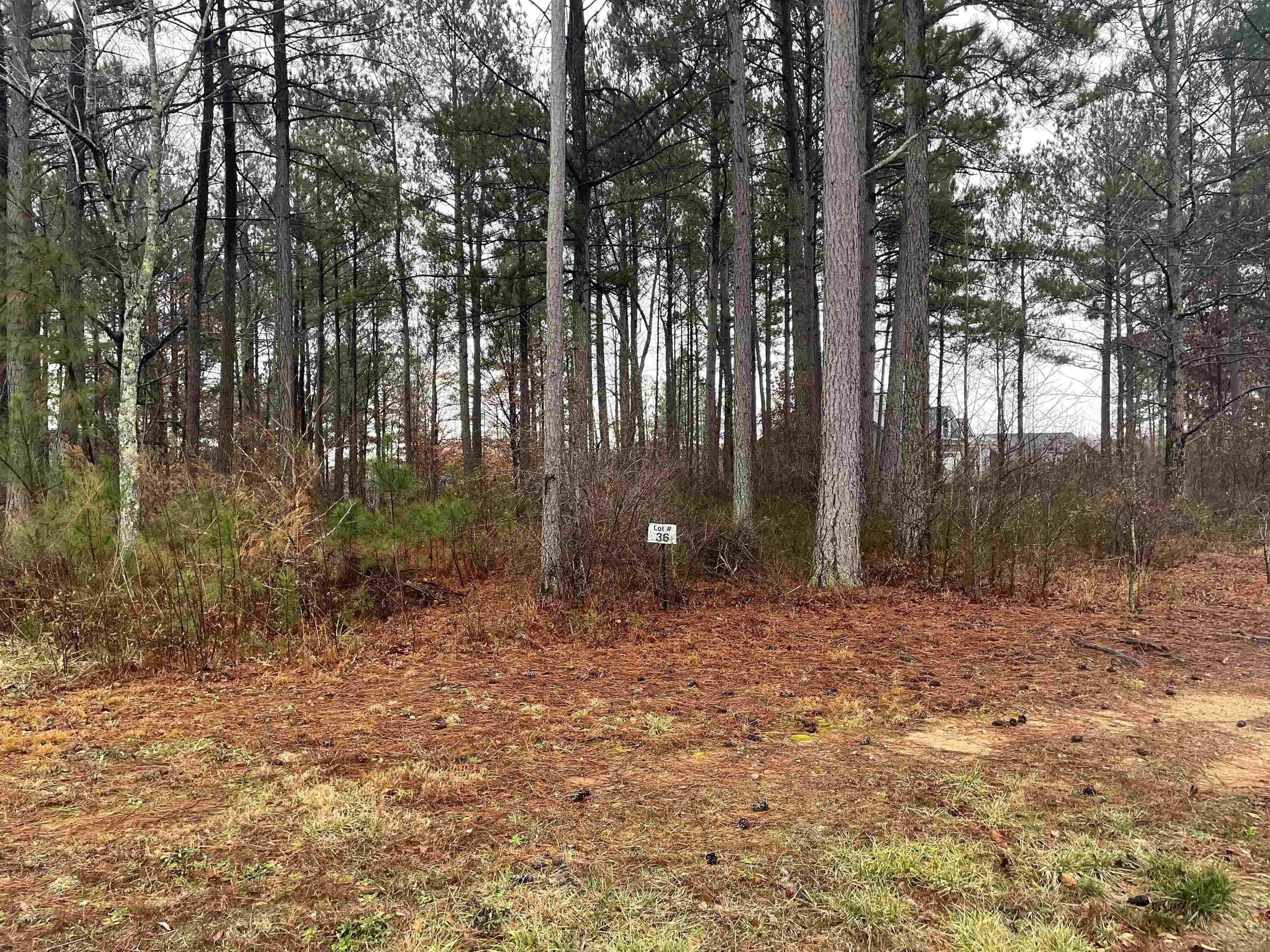 Canewood Ln, Campobello, SC 29322