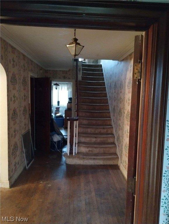Holbrook Rd, Cleveland, OH 44120