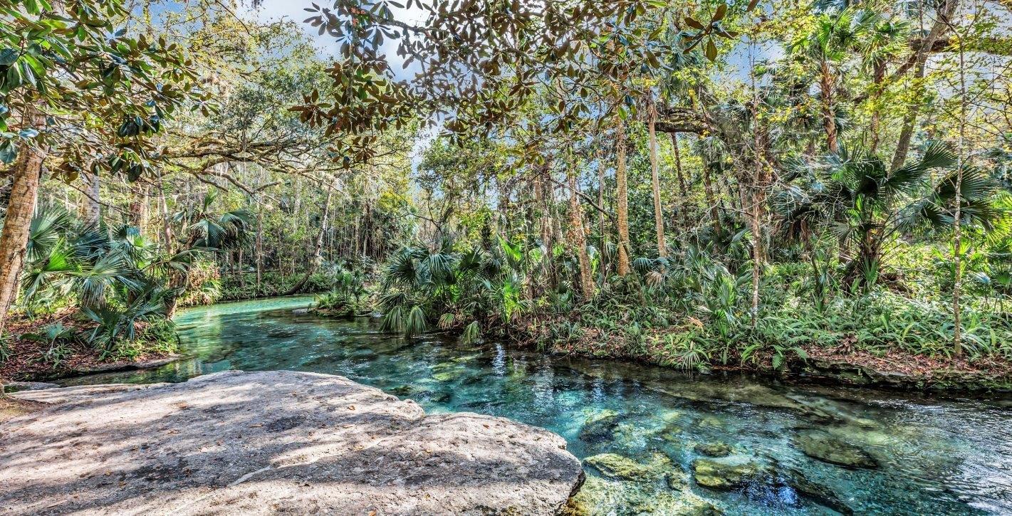 Conjunction Way, Apopka, FL 32712