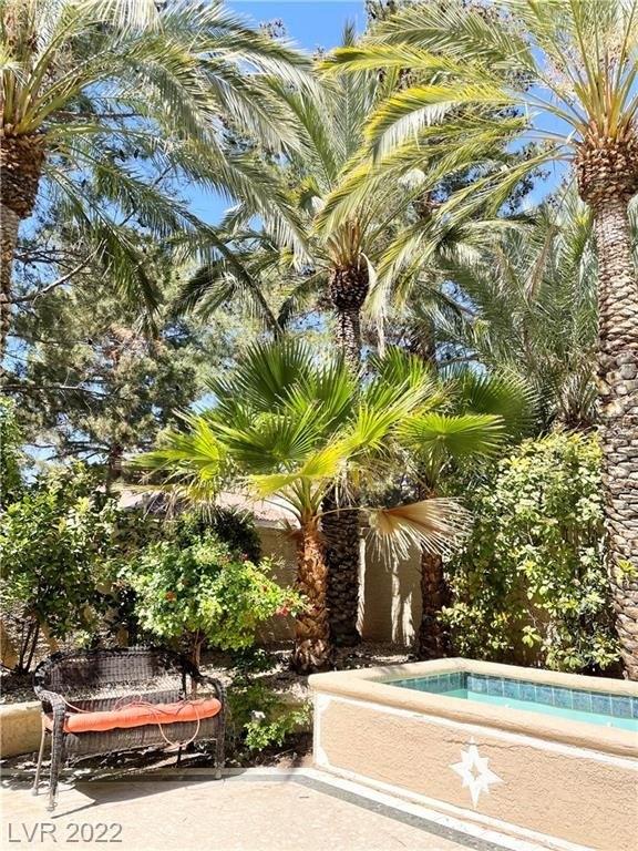Castle Pines Ave, Las Vegas, NV 89113