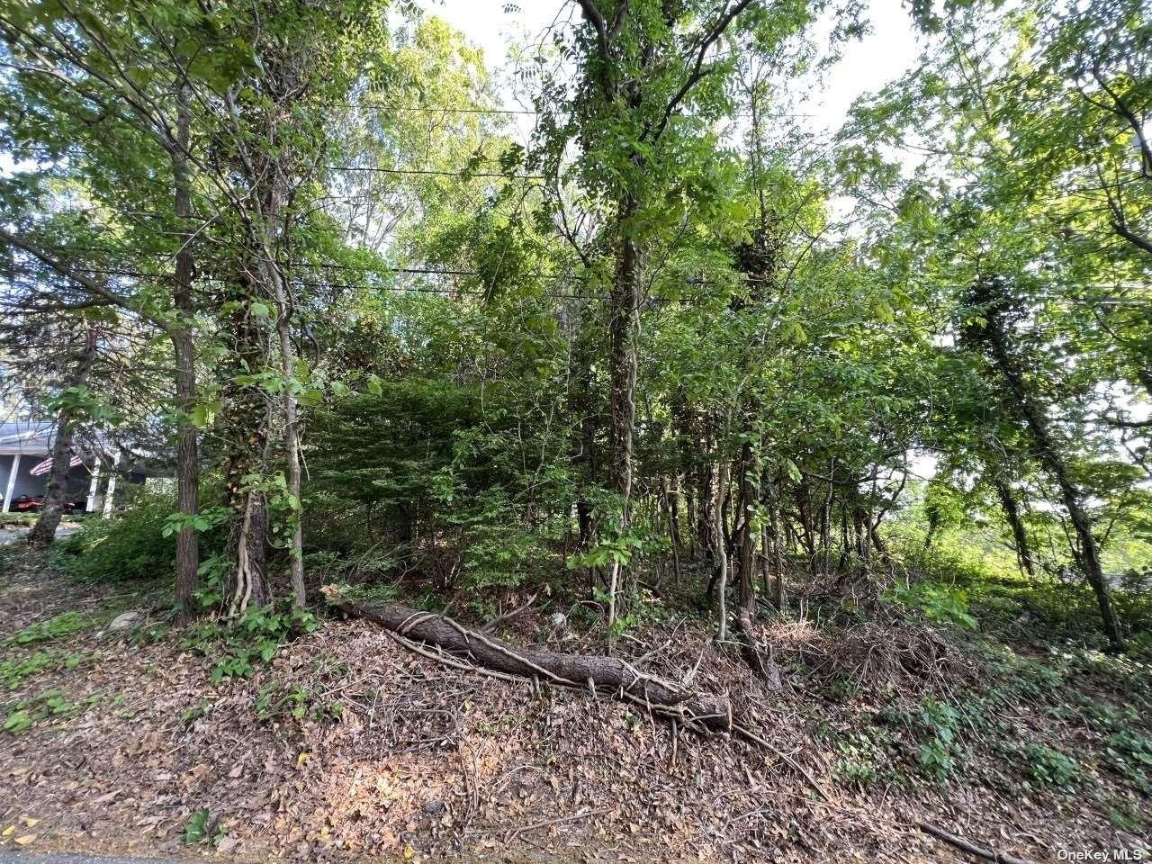 Violet Rd, Rocky Point, NY 11778
