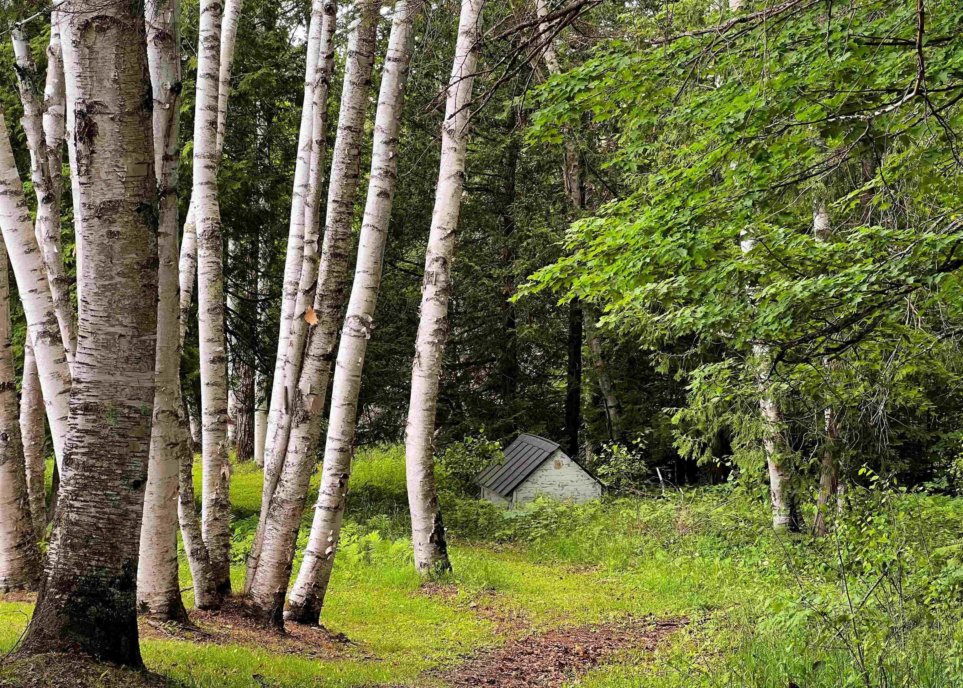 Oneida Rd, Danville, VT 05828