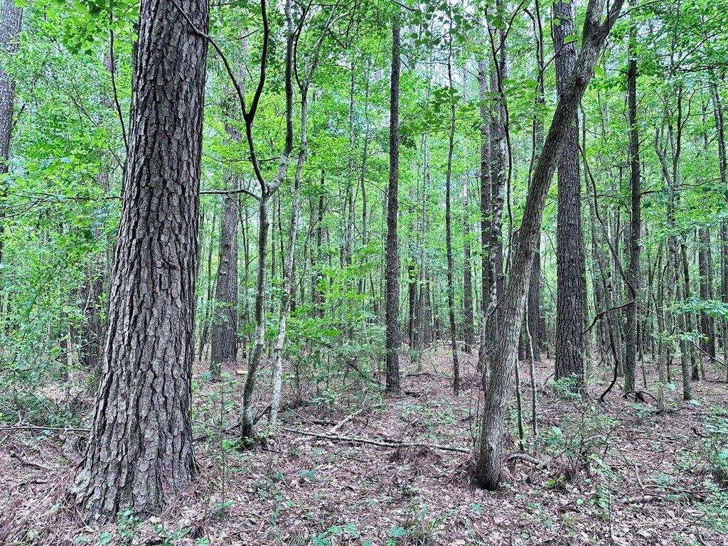 Highway 80, Hickory, MS 39332