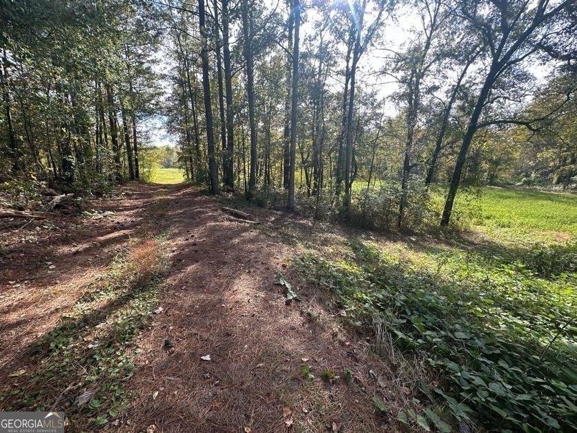 J Davis Rd, Tallapoosa, GA 30176