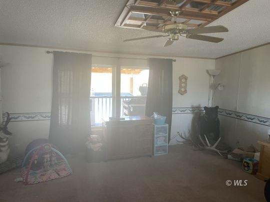 R Path, Cotopaxi, CO 81223