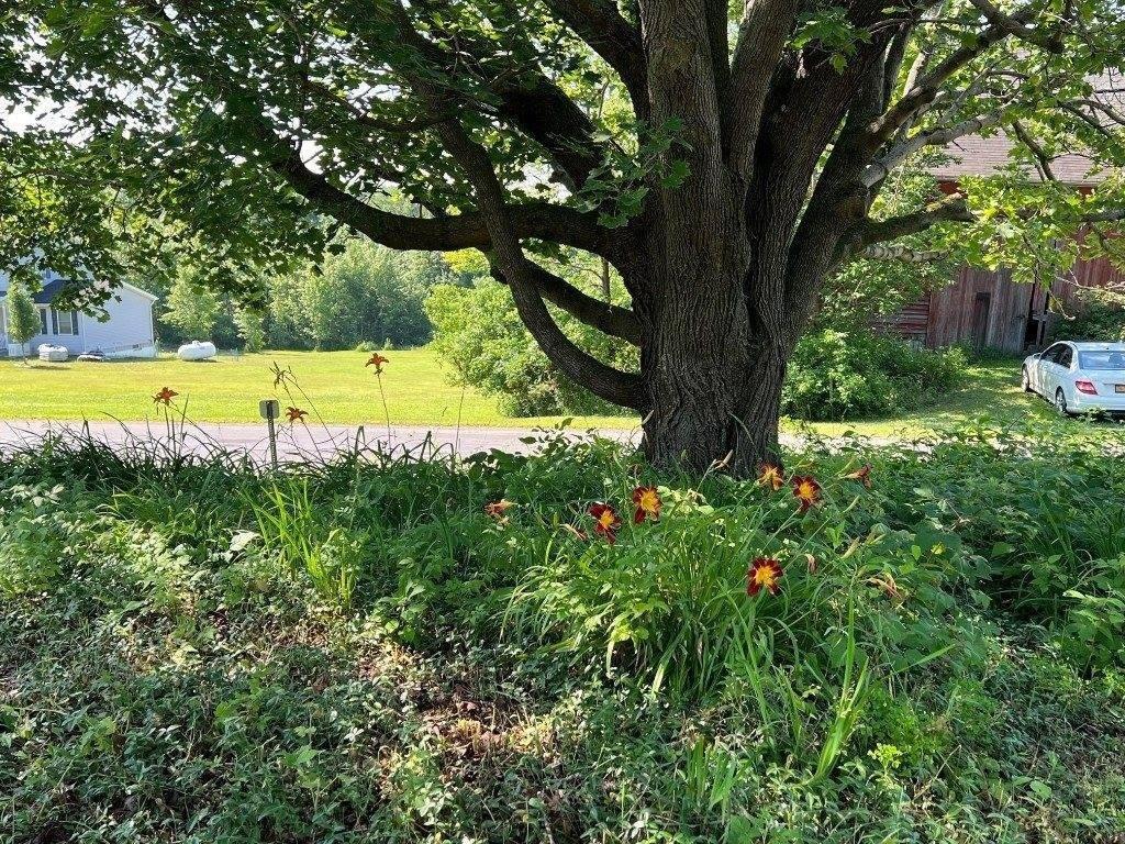 Hurd Rd, Harpursville, NY 13787
