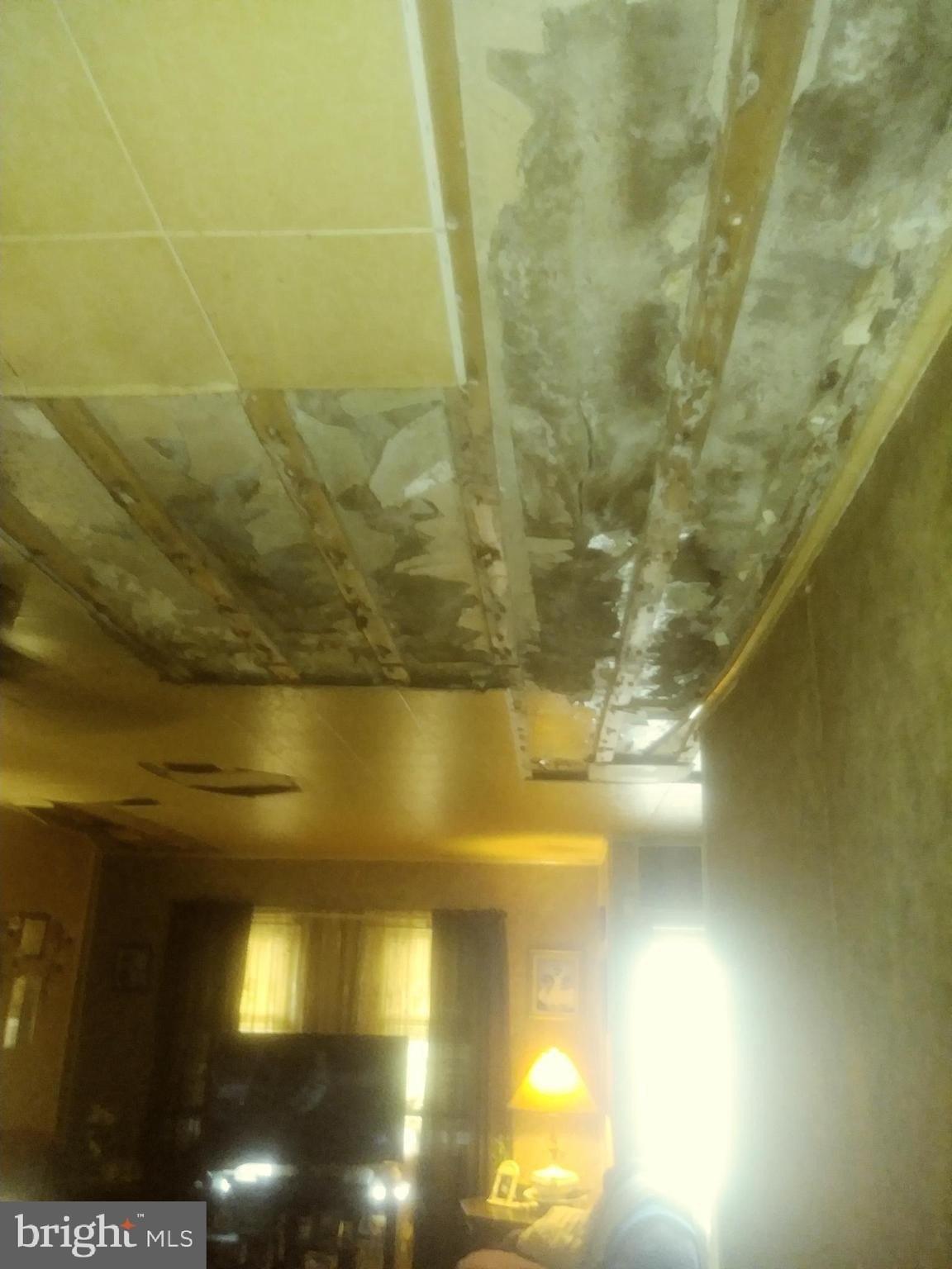 Redfern St, Trenton, NJ 08610