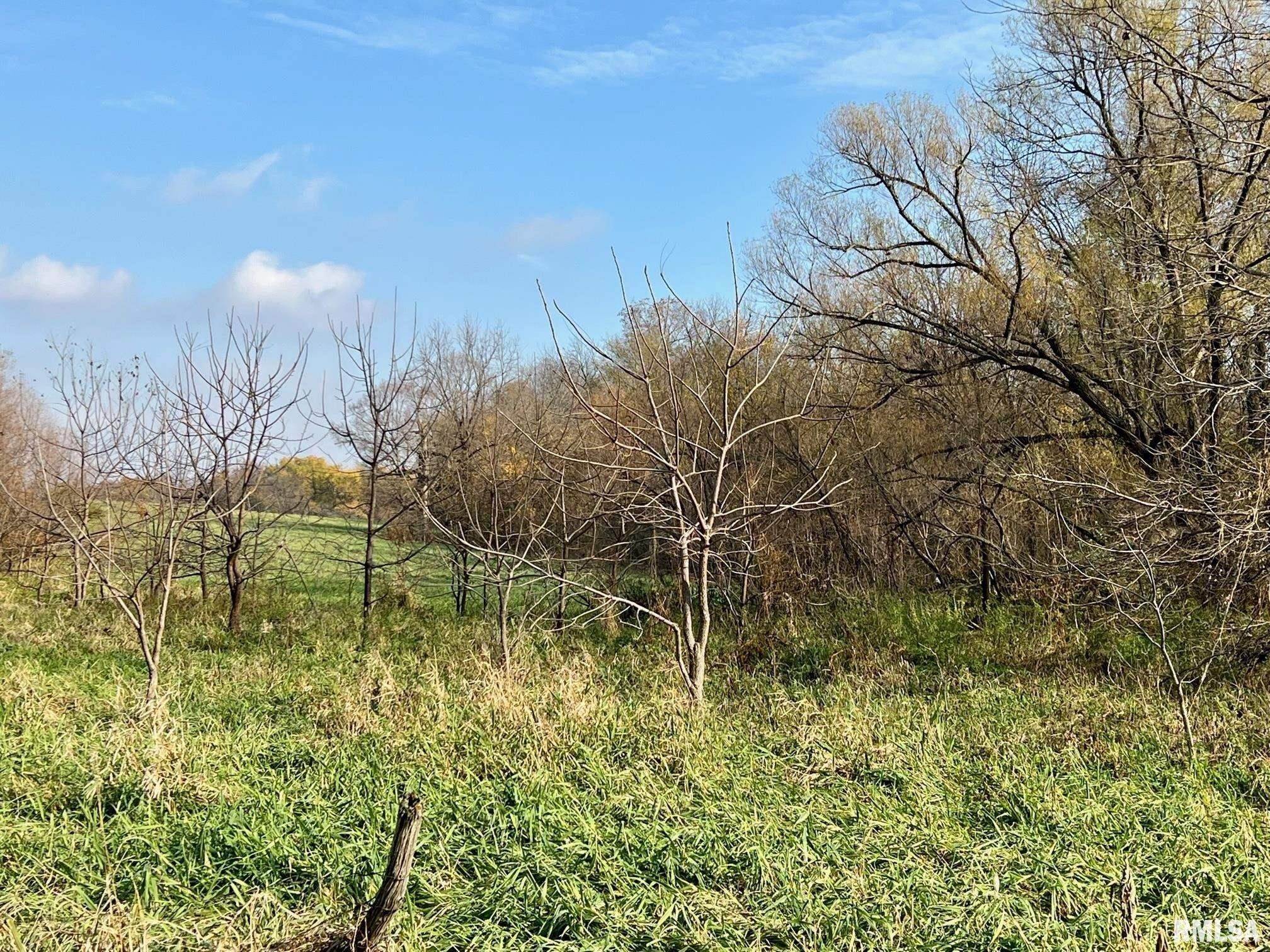 Kirby St, Tallula, IL 62688