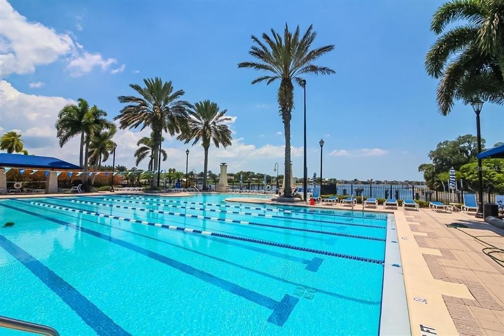 Manns Harbor Dr, Apollo Beach, FL 33572