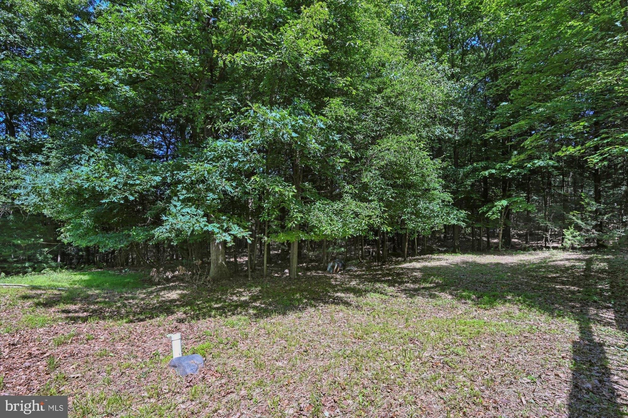 Winding Way, Saylorsburg, PA 18353