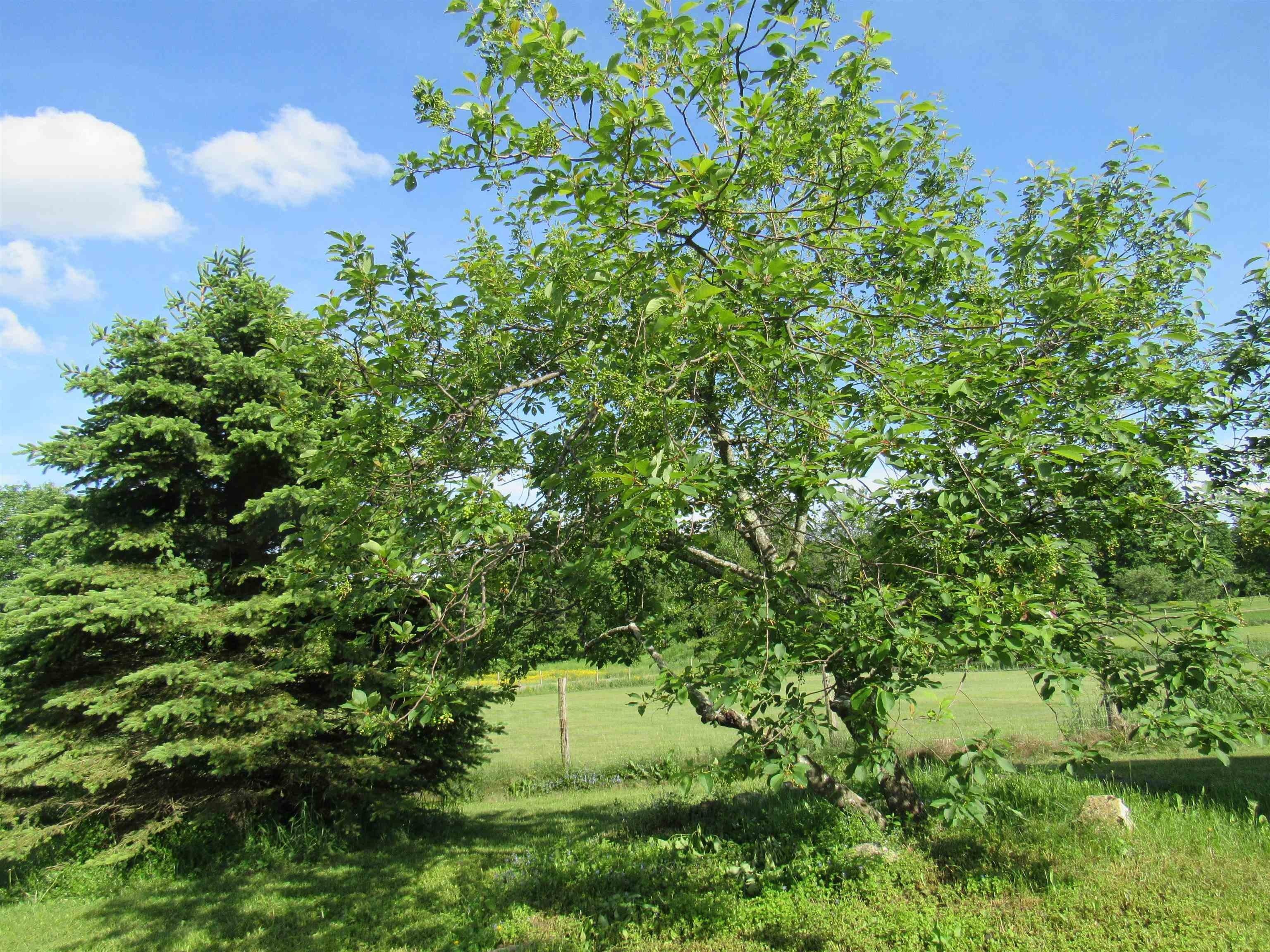 Old Stone House Rd, Orleans, VT 05860