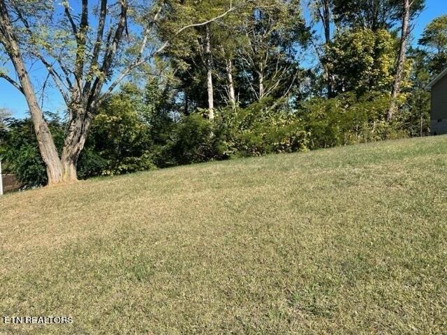 Stone Hollow Dr, Knoxville, TN 37924