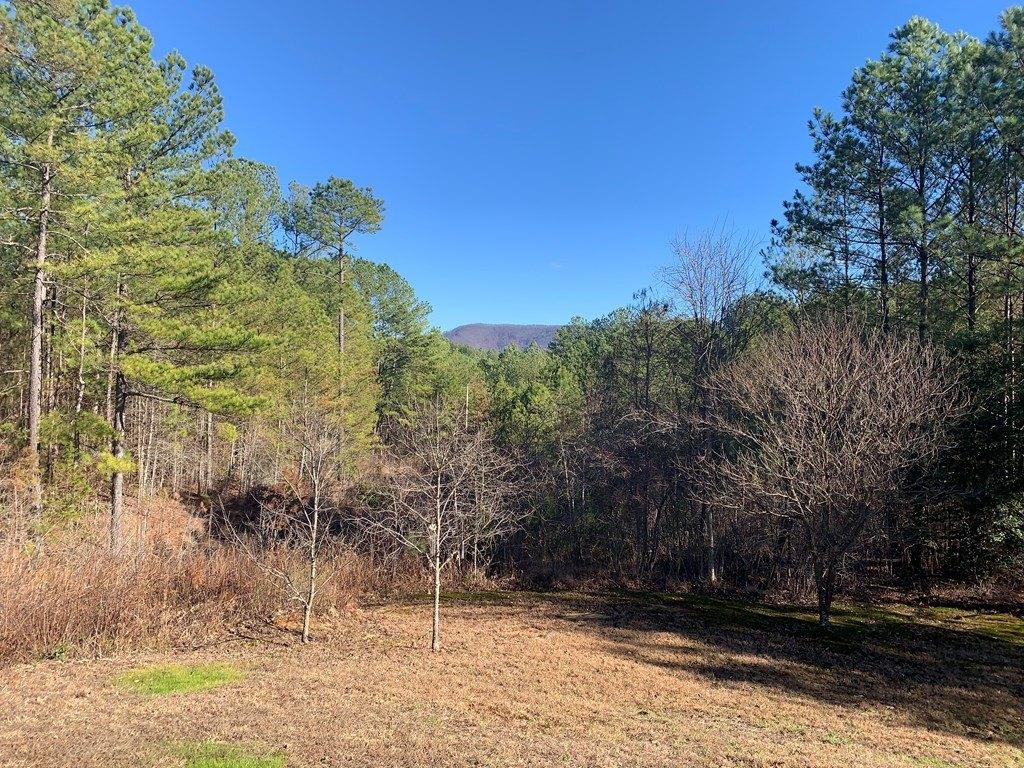 Stansbury Mountain Rd, Copperhill, TN 37317