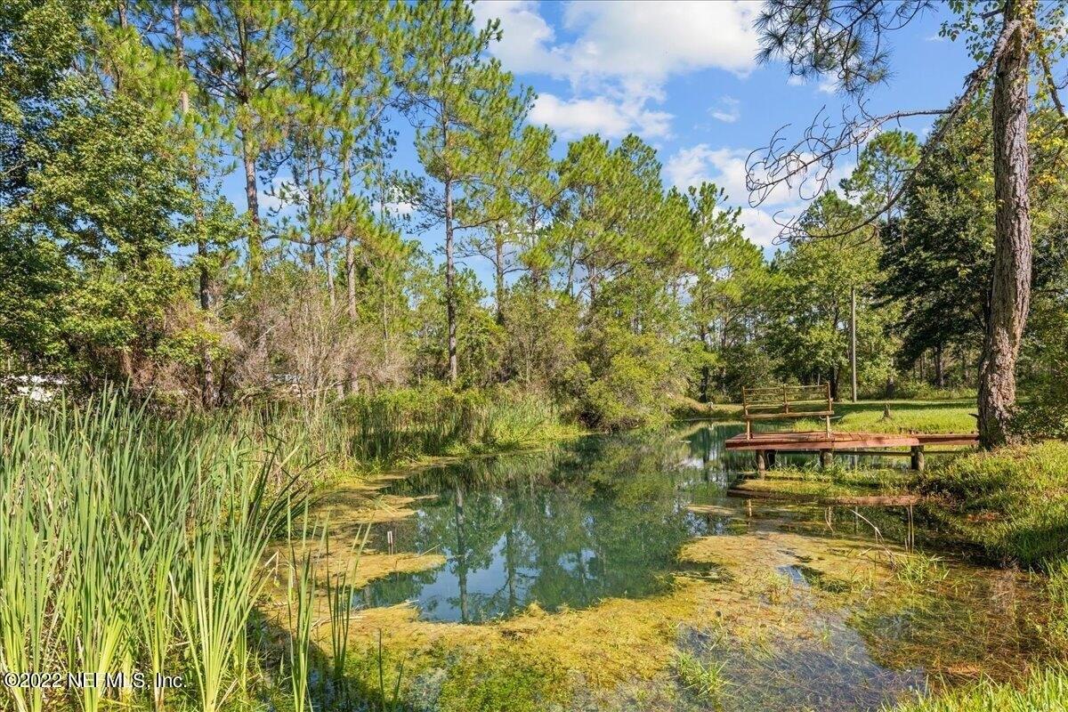 Carpenter Ave, Hastings, FL 32145