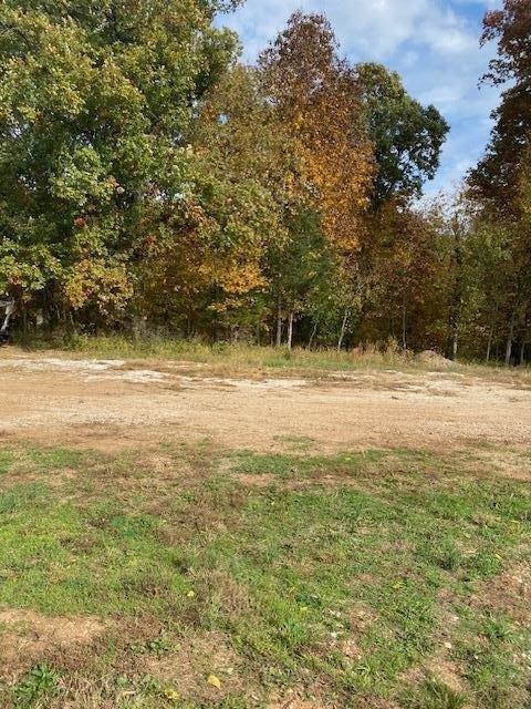 Dry River Ct, Springfield, MO 65803