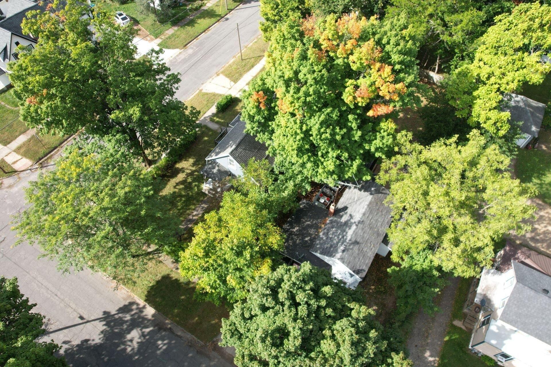 Walnut St, Three Rivers, MI 49093