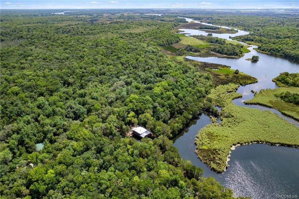 W White Dogwood Dr, Homosassa, FL 34448