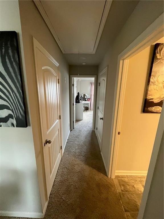 Dandelion Way, Cumming, GA 30040