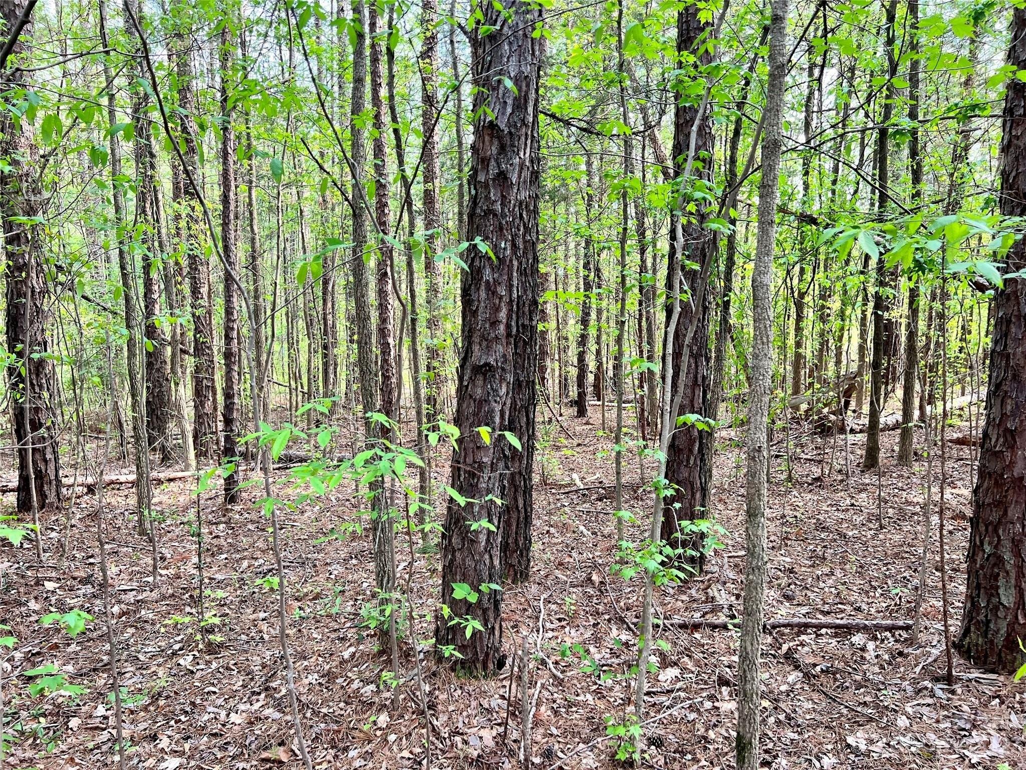 Union Rd, Matthews, NC 28104