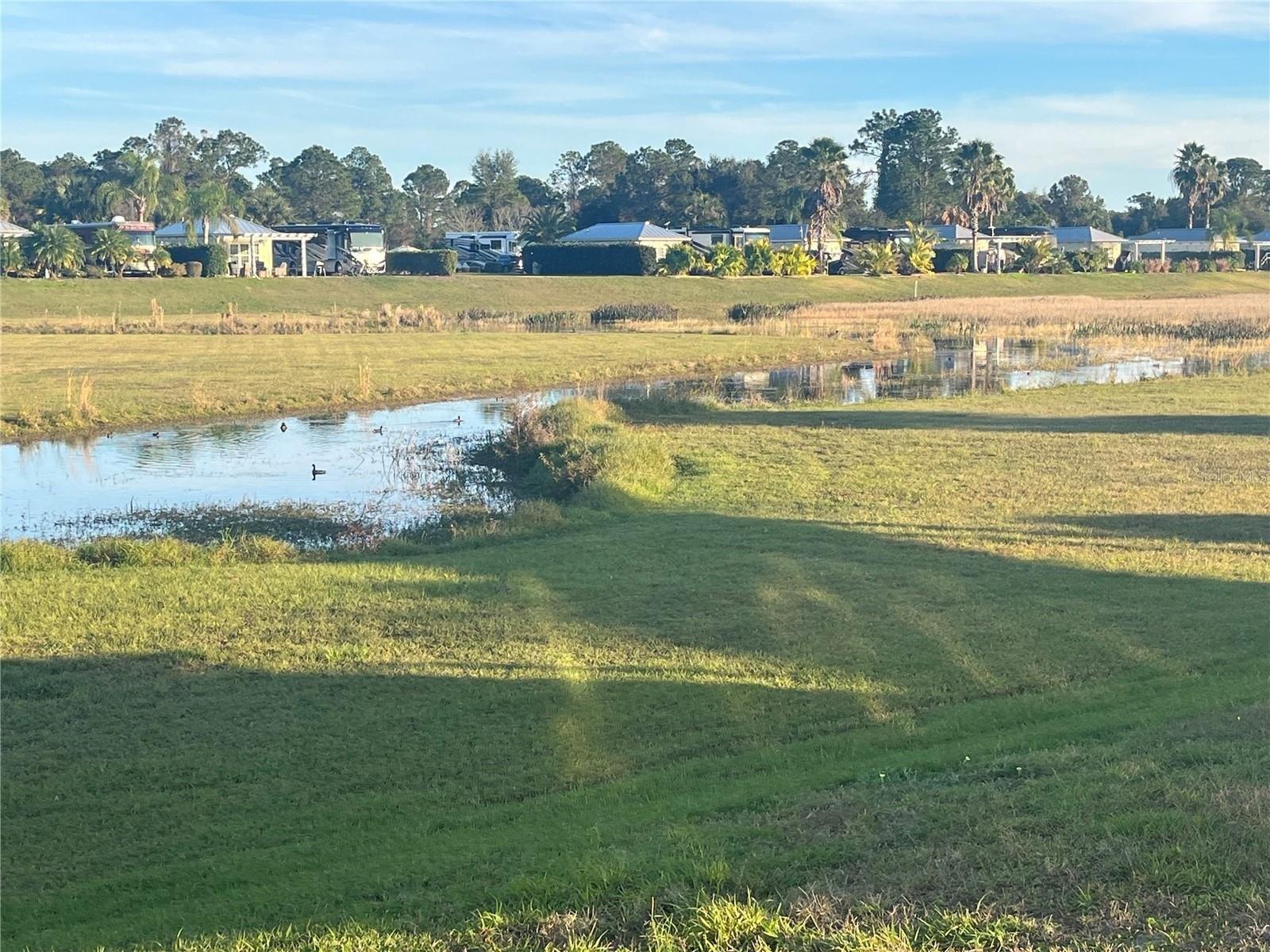 Se 47th Way, Webster, FL 33597