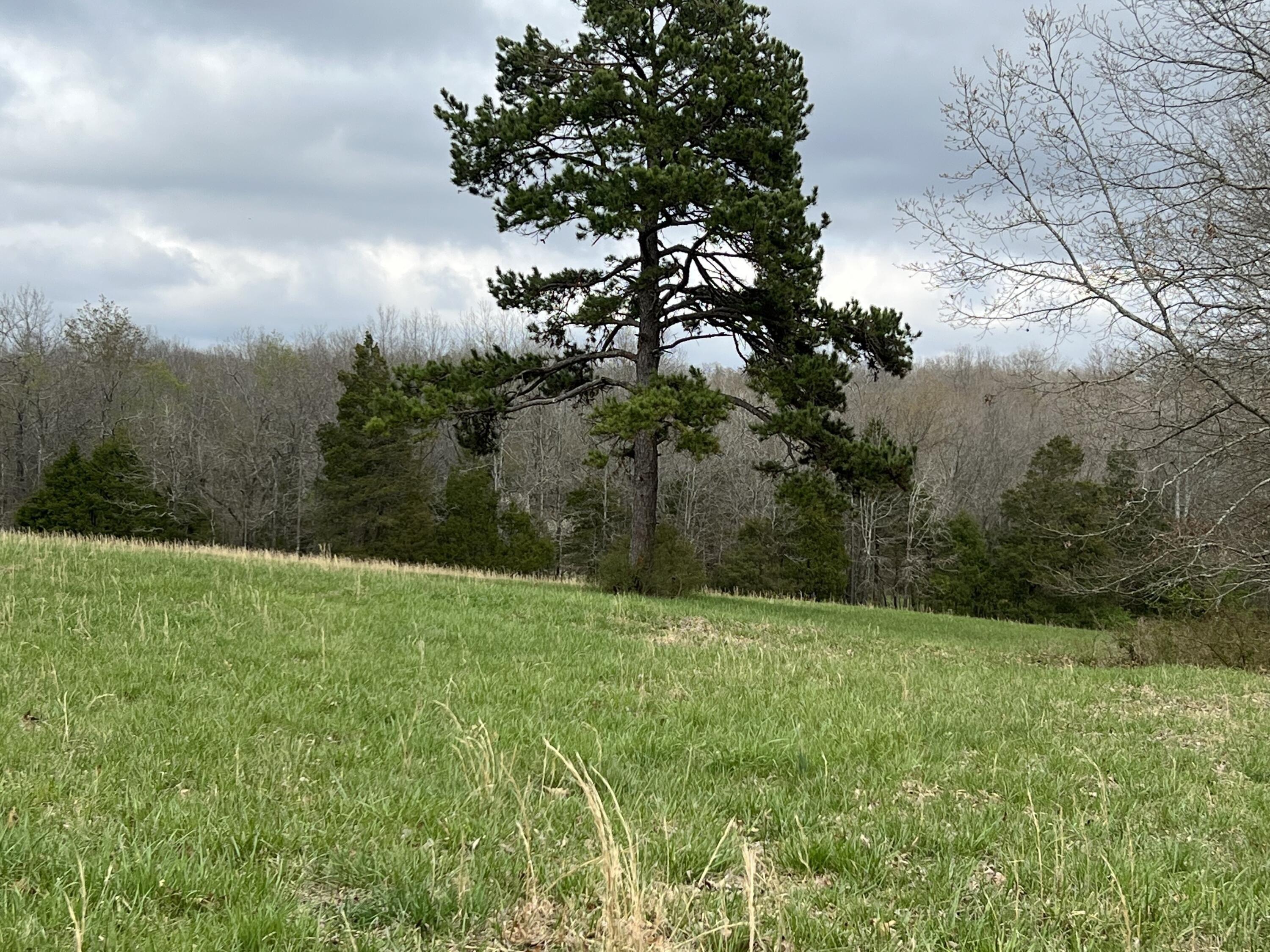 Aa Hwy, Alton, MO 65606