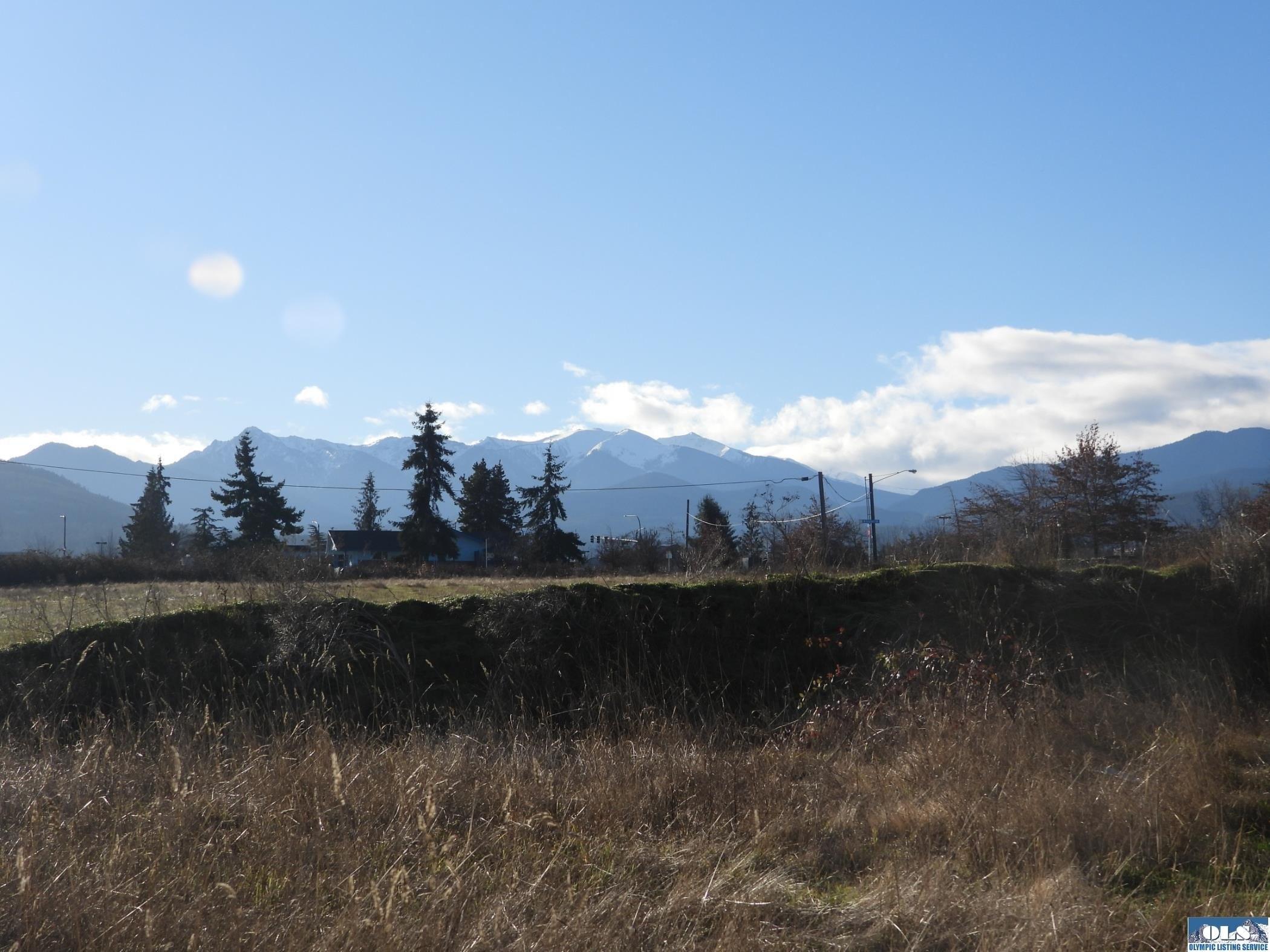 N Priest Rd, Sequim, WA 98382