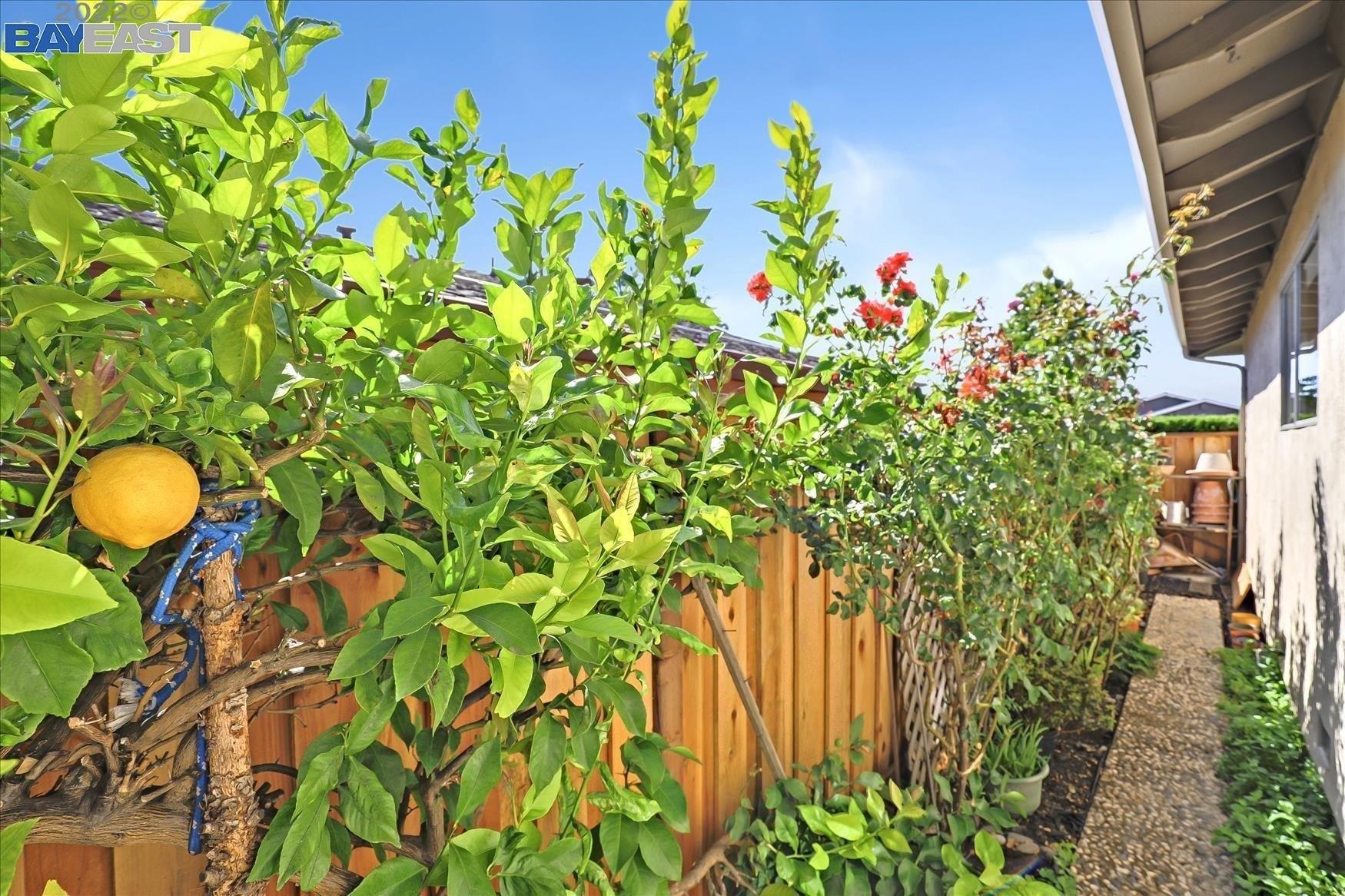 Apricot Way, Castro Valley, CA 94546