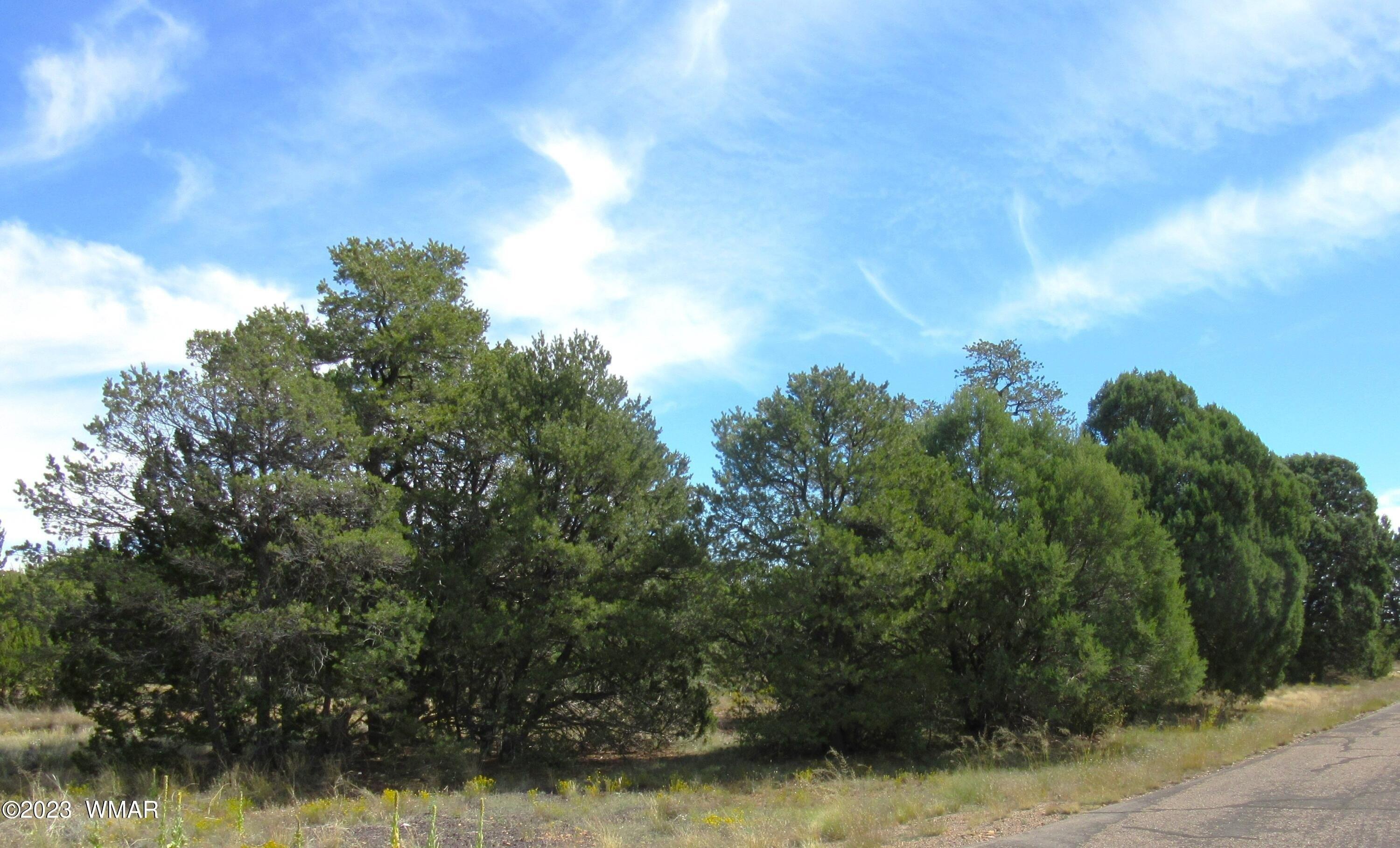 N Pine Cir, Heber, AZ 85928