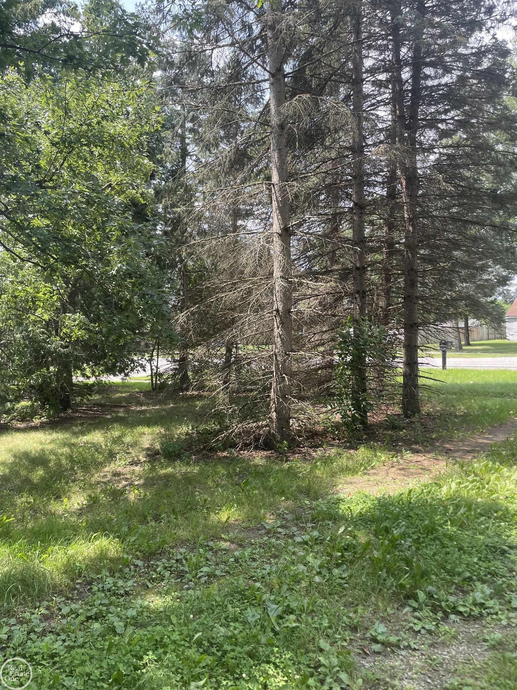 Shelby Rd, Shelby Township, MI 48316