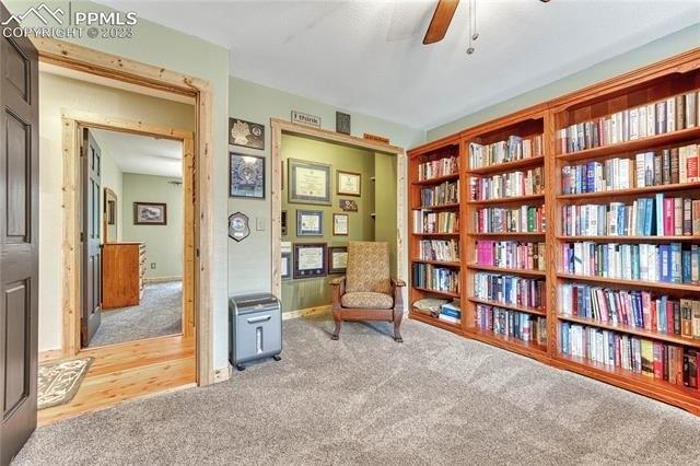 Lake Dr, Florissant, CO 80816