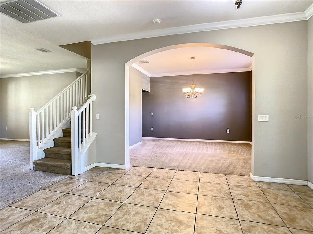 Fawnwood Dr, Ocoee, FL 34761